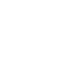 Logo Mini